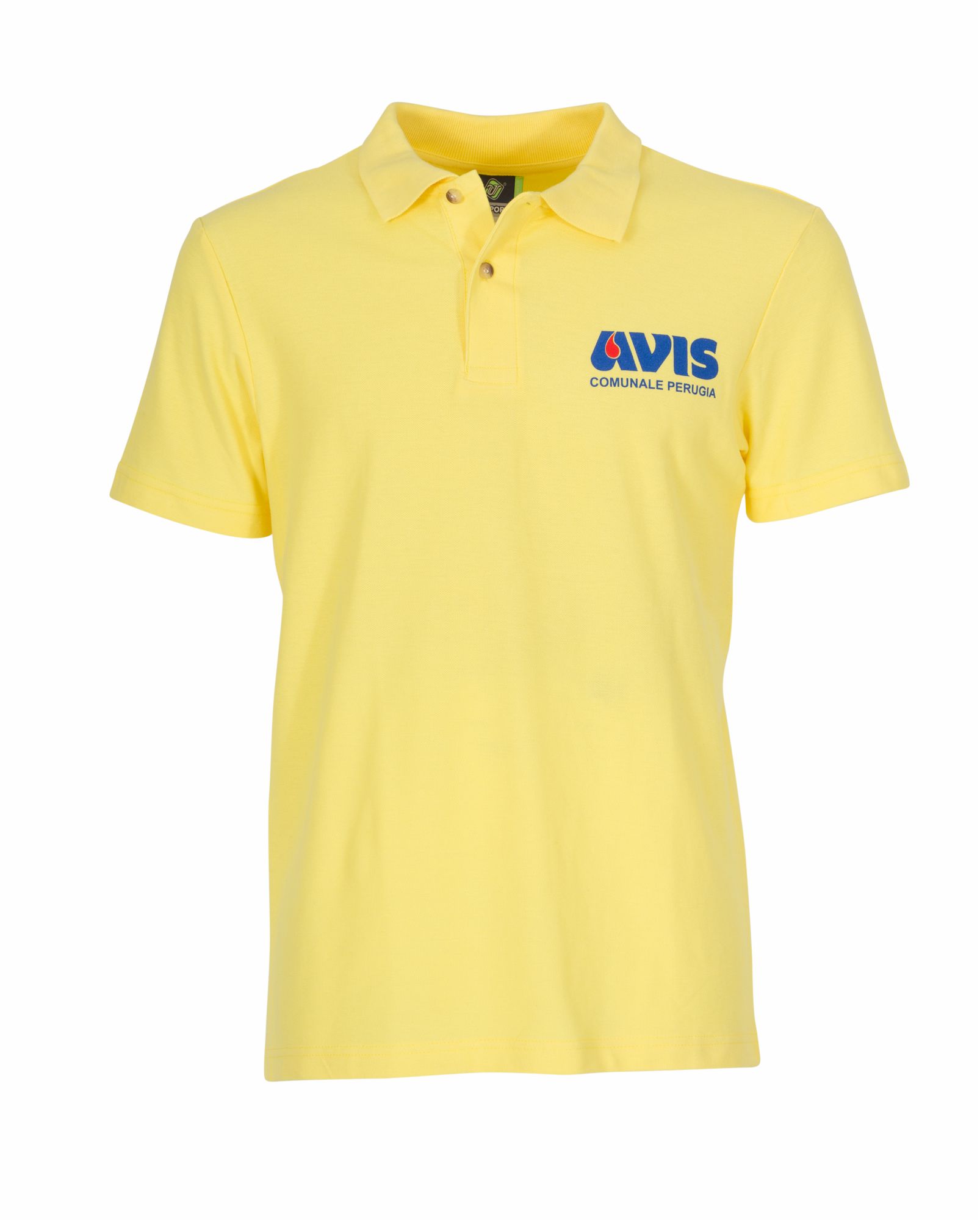 CORPORATE-POLO-AVIS_Fronte.jpg