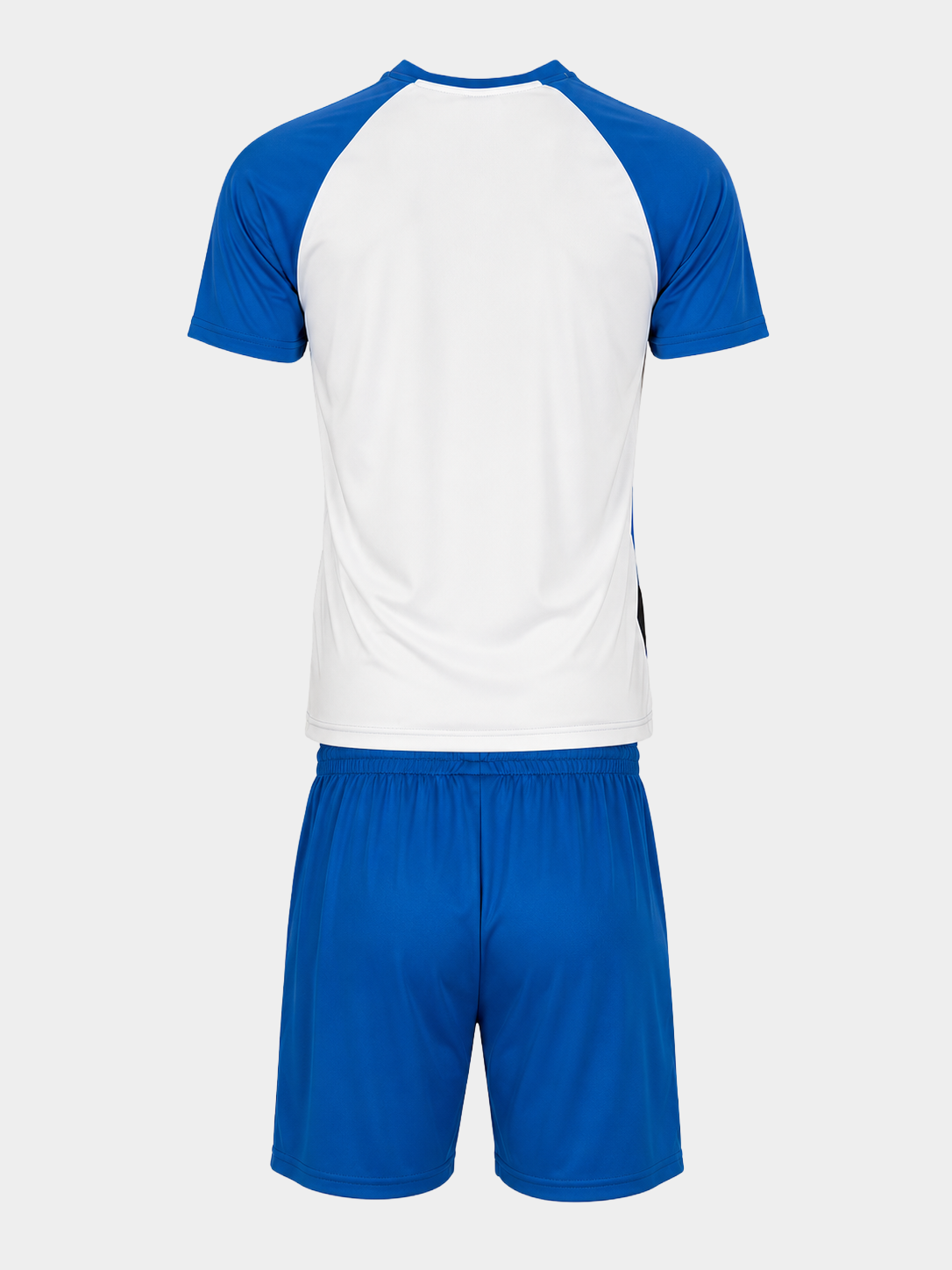 lione-azzurro-retro